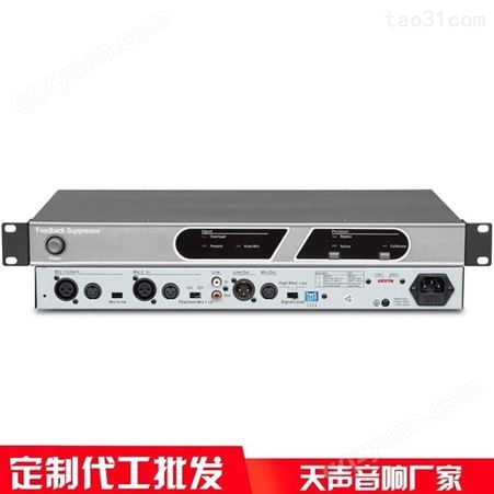 音频处理反馈抑制器TS-F8246 天声智慧 辅助录音输出数字会议设备