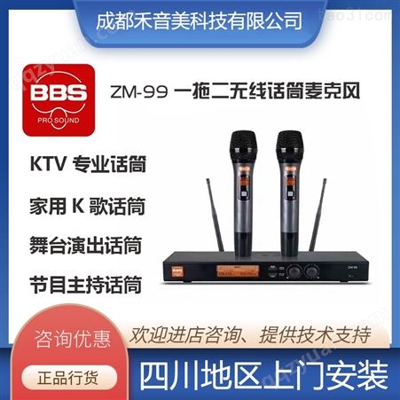 BBS ZM-99 一拖二KTV娱乐唱歌K歌舞台演出演讲无线手持话筒麦克风