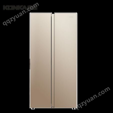 康佳门冰箱家用电冰箱大容量电脑控温BCD-405WD5EGX