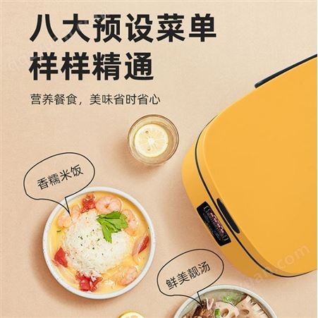 GKN格卡诺智能电饭煲家用多功能智能预约定时迷你米饭锅蒸饭器