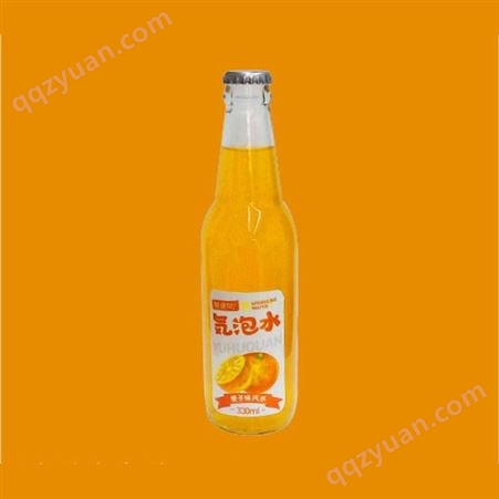 气泡水橙子味汽水330ml玻璃瓶装碳酸饮料果味饮品