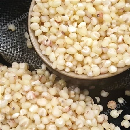 高粱米批发 五谷杂粮 有机高粱米 东北特产 高粱oem代加工 和粮农业